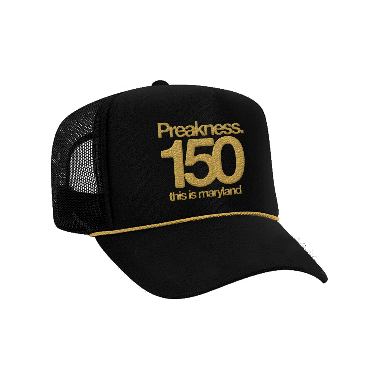 Big Logo Hat
